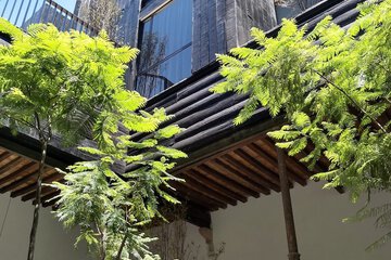 Exterior detail