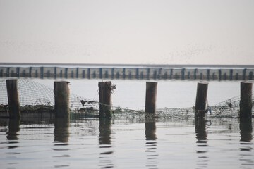 Fishing