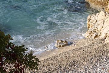 Photo 41
