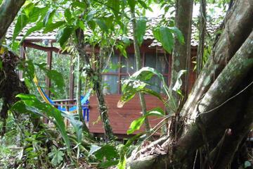 Photo 25