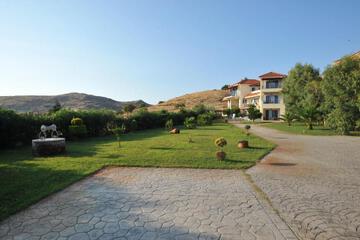 Photo 41