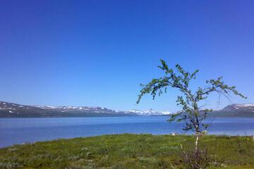 Photo 35