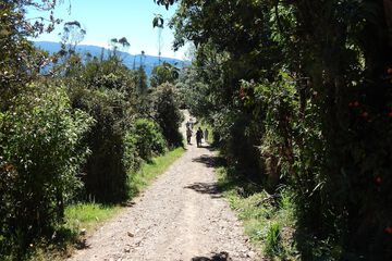 Hiking
