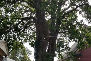 Hotel Exterior 71 of 74