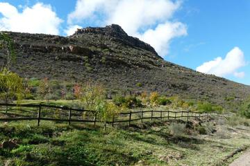 Photo 44