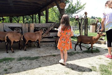 Children's activities