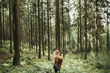 Hiking