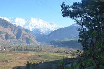 Mountain view
