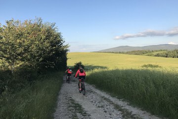 Bicycling