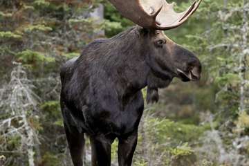 Children's activities