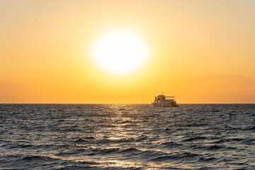 Ferry terminal shuttle