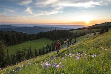 Hiking