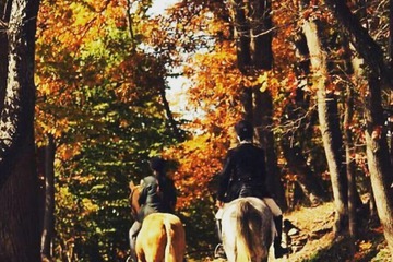 Hiking