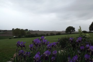 Land view from property