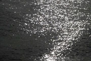 Photo 56