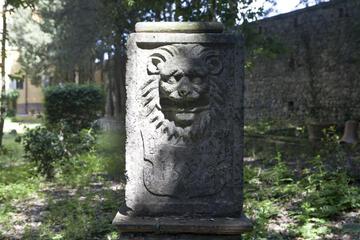 Photo 31