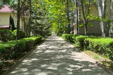 Photo 27