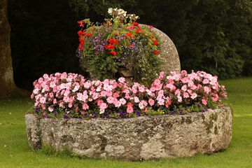 Garden view
