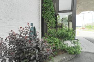 Photo 24