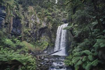 Ecotours