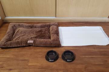 Pet-friendly amenities