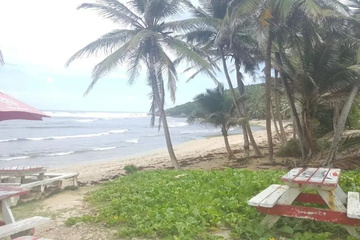beach