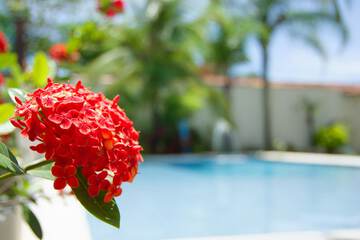 Outdoor pool