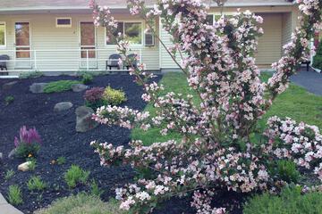 Property Grounds 30 of 39