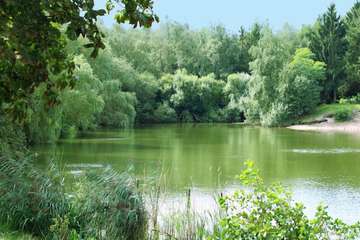 Lake view
