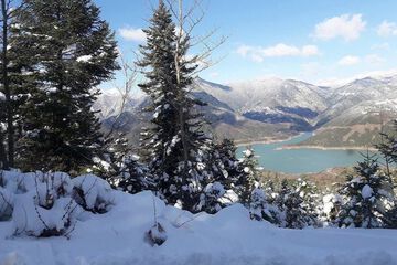 Lake view