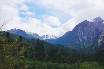 Ecotours