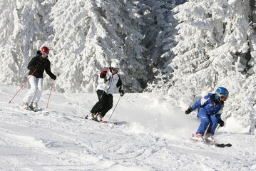 Skiing