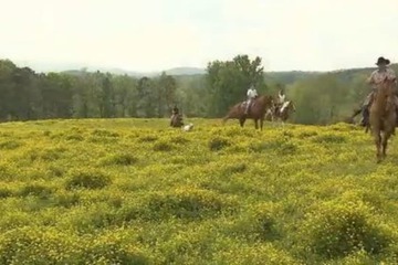 Property Grounds 58 of 61