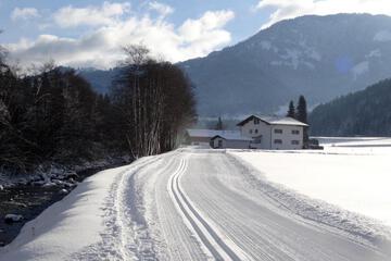 Photo 23
