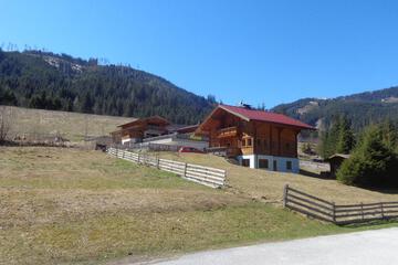 Photo 37