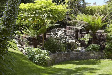 Garden view