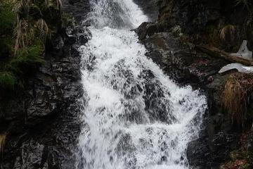 Photo 34