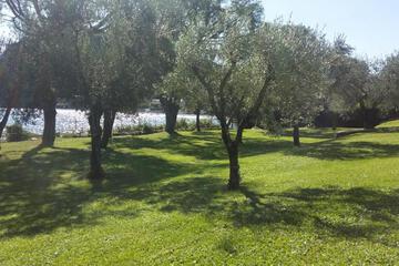 Photo 43