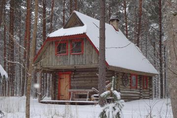 Photo 11