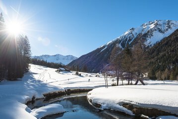 Snowshoeing
