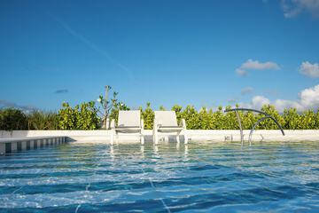 Rooftop pool