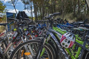 Bicycling