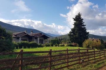 Photo 49