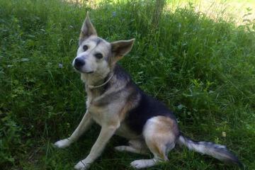 Photo 35