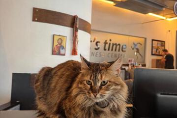 Photo 25