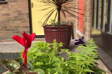 Photo 31