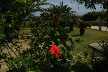 Photo 72