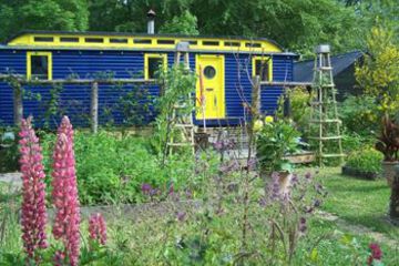 Photo 27