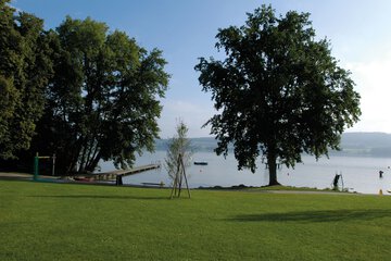 Land view from property