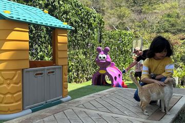 Children's area